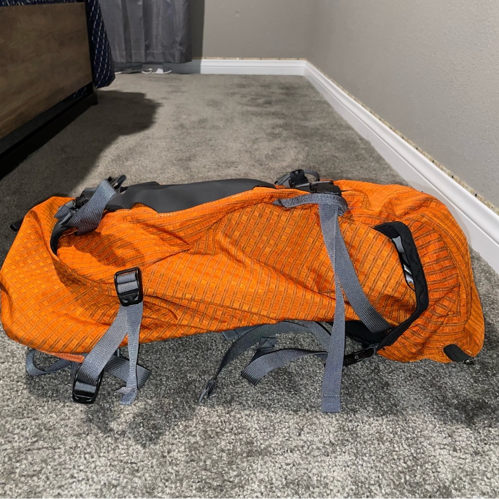 Patagonia Backpack - Picture 3 of 6